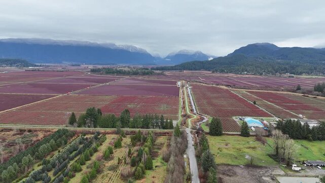 British Columbia Valley With Mountains