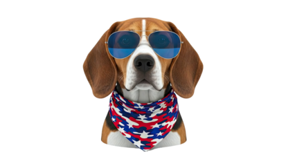 Beagle wearing sunglasses and patriotic bandana