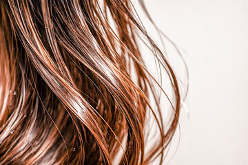 Shiny wet brown hair close-up