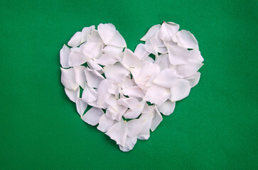 Beautiful a white heart made of rose petals