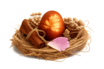 Easter egg in nest with cinnamon sticks and rose petal