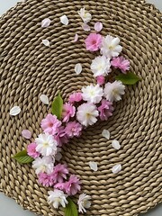 Delicate pink blossoms cascading on woven straw surface composition