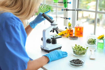 Female scientist with microscope testing sunflower sprouts and seeds in laboratory, closeup