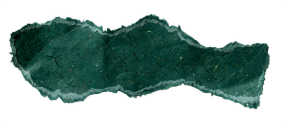 Irregular torn paper shape with natural rough edges, deep green textured paper, isolated on transparent background