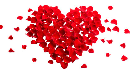 Red Rose Petals Heart on Black Background