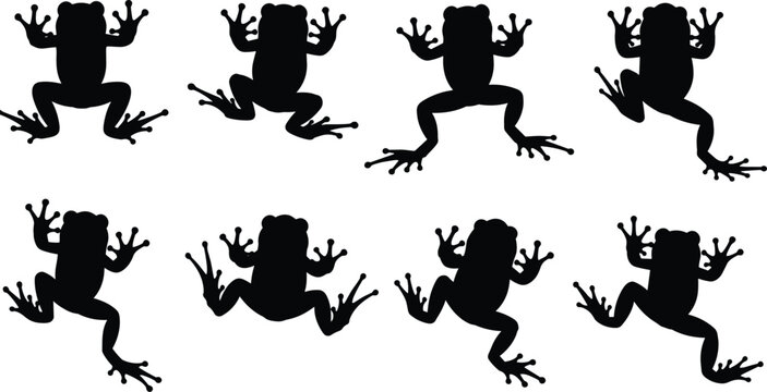 Black frog silhouettes set featuring various amphibian species in jumping climbing and sitting poses for nature design and wildlife graphics.