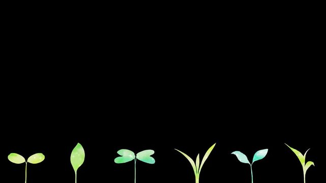 様々な種類の植物が一斉に芽生えるフレッシュなフレーム。背景透過の水彩アニメーション。