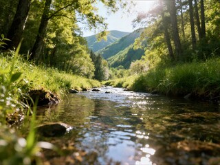 Naklejka premium Low perspective of a bright sun shining over a sparkling river flowing through a lush green mountain valley with forested hillsides.