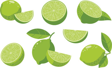 Set of green limes with whole fruits and sliced halves and quarters with leaves vector