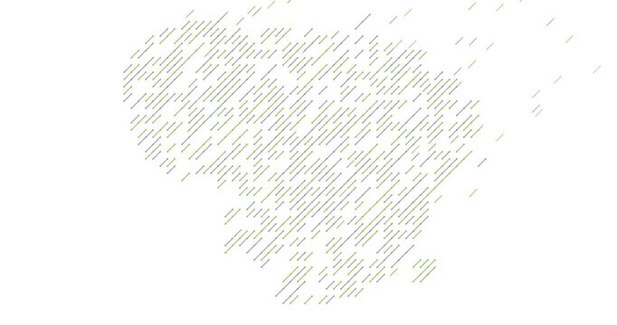 Geometric Motion Graphics Representing the Lithuania Map