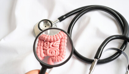 Gut health concept showing stomach and intestine under magnifying glass with stethoscope on white cloth