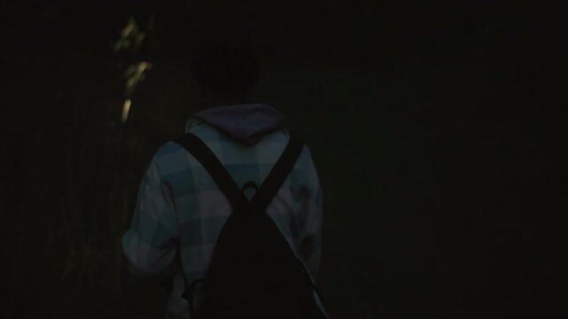 caucasian backpacker night follows glowing green wisp through tall grass, turning toward mysterious light with tense curiosity, soft moonlight, silent atmosphere, cinematic nocturnal mood