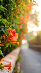 Vibrant orange trumpet vine flowers cascade over a stone wall along a sun-drenched rural road