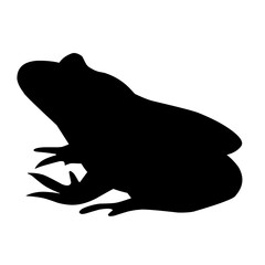 frog silhouette illustration