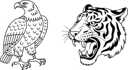 Set of two powerful wildlife sketches including a standing bald eagle and roaring tiger head vector © Al