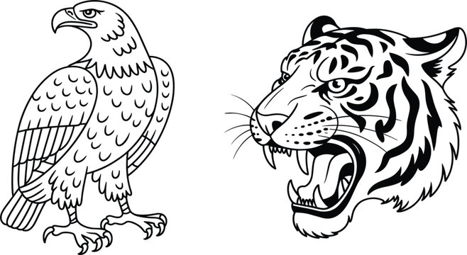 Set of two powerful wildlife sketches including a standing bald eagle and roaring tiger head vector