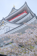 満開の桜と熱海城　お城　下から