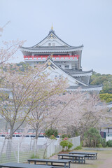 満開の桜と熱海城　お城