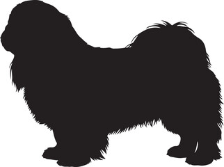 Pekingese dog in silhouette white background.