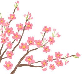 Fototapeta premium Elegant Cherry Blossom Watercolor - Spring Botanical Elements for Wedding and Greeting Designs