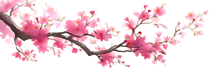 Elegant Cherry Blossom Watercolor - Spring Botanical Elements for Wedding and Greeting Designs