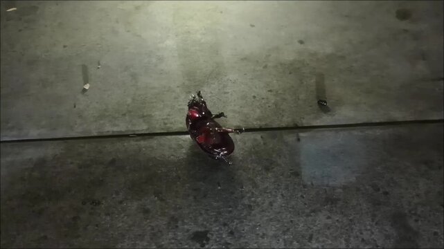 Oryctes rhinoceros lying on the floor. This insect pest attacks coconut and oil palm plants