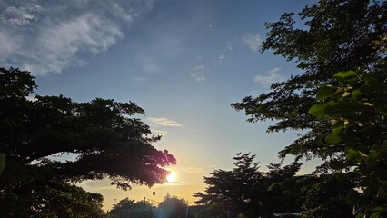 Fototapeta premium sunset in the forest