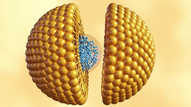 3D animation of a liposome splitting. It shows the lipid bilayer opening to reveal internal "cargo" (blue spheres), illustrating how these vesicles deliver medicine in biotechnology.