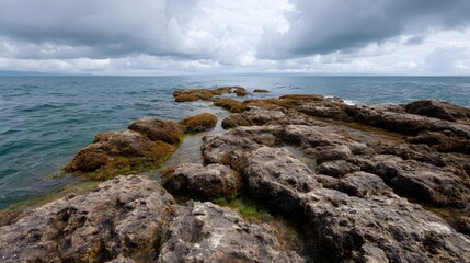 A rugged rocky coastline with brown and green algae meets the deep blue sea under an overcast sky