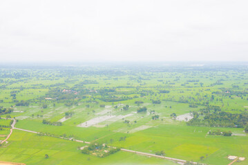 Aerial view of paddy fields in the countryside of Thailand.