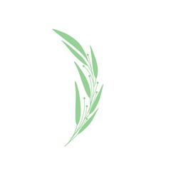 Obraz premium Minimalist leaves for wedding invitation decoration. Minimalist green leaf illustration. Minimalist leaf flat design. Green leaf illustration. Minimalist leaf vector