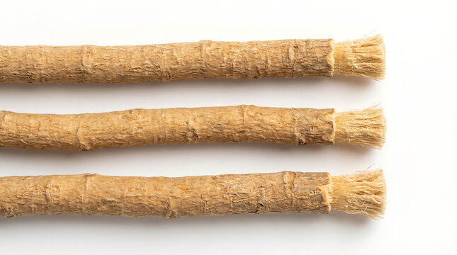 Three Miswak sticks, Natural toothbrushes from Salvadora persica tree, herbal dental care tools, sunnah toothbrushes