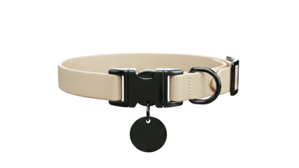 Beige Dog Collar with Black Buckle and Tag