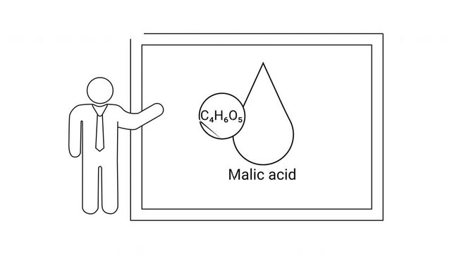 Malic Acid Presentation - Chemical Structure and Properties Explained.