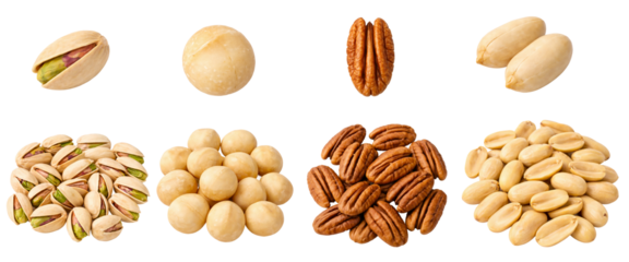 Assorted Nuts Collection Set