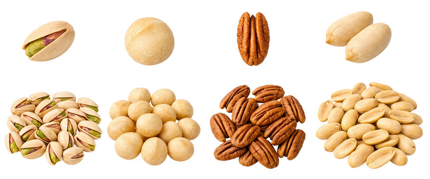 Assorted Nuts Collection Set