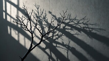 Shadow on the wall, high quality conceptual artwork - Generative AI