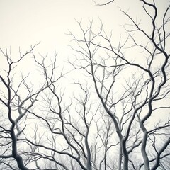 Eerie white tree branches reach towards a pale sky, skeletal and stark,  natural elements, white tree