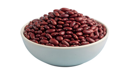 Fototapeta premium Dry Red Kidney Beans in Ceramic Bowl Isolated 