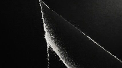 Black and white photo, digital art illustration - Generative AI