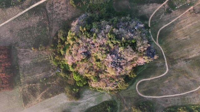 An aerial view of the forest and mountains in a misty morning at Pha Chai Noi, Thailand.