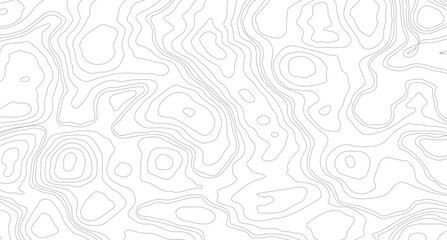 Fototapeta premium Topography background. Vector banner. Topography map background. Topographic map background. geographic line map with elevation assignments. 