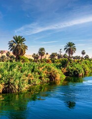 Vibrant Oasis Riverbank with Palm Trees and Desert Hills