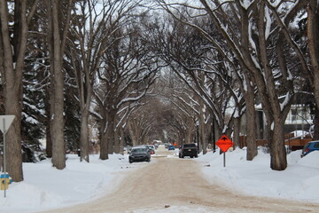 Winter In Old Glenora, Edmonton, Alberta