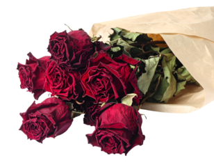 Dried Red Roses bouquet isolated on transparent png