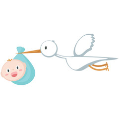 Stork carrying newborn vector. Bird and cartoon born child illustration isolated on white background. Child birth greeting. Invitation postcard character delivering kid. Baby shower concept