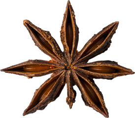 Brown Natural Dried Star Anise