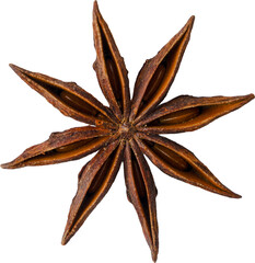 Brown Natural Dried Star Anise