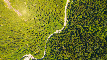 Altindere, Trabzon Province, Turkey. Altindere Valley Park. Panoramic views during the day. Flying through the valley. Coniferous forest on the slopes, Aerial View © Video Render