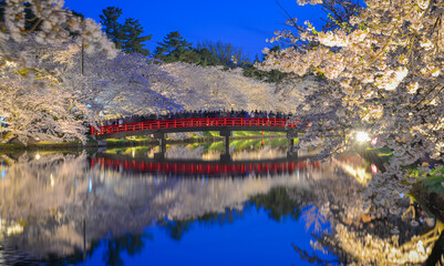 Stunning cherry blossom landscape in the park